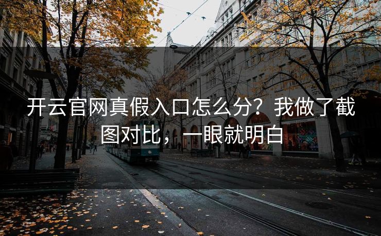 开云官网真假入口怎么分？我做了截图对比，一眼就明白